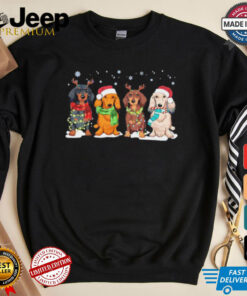 Dachshund Santa Christmas light dog lovers shirt