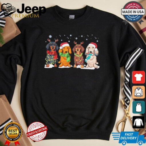 Dachshund Santa Christmas light dog lovers shirt