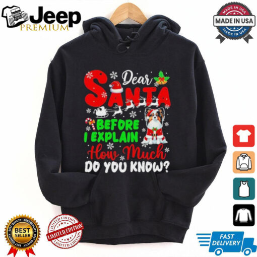 Dear Santa Before I Explain How Much Do You Know Xmas Shirt