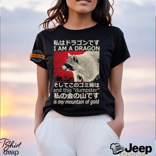 Dragon Raccoon Japanese T Shirt