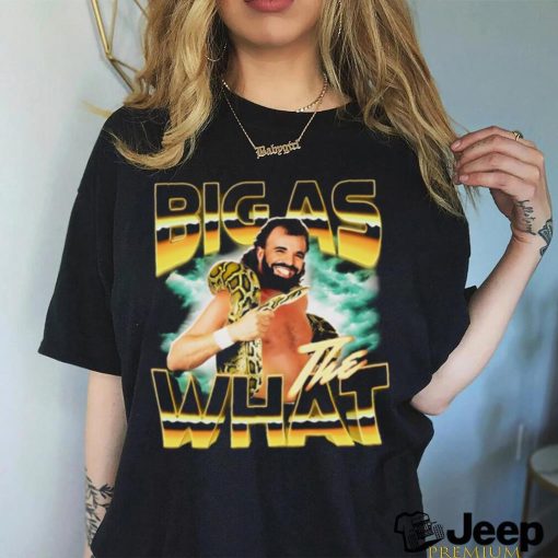 Drake Anaconda big as what graphic shirt