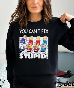 Funny Baltimore Ravens You Cant Fix Stupid Shirt