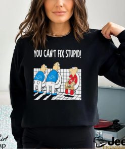 Funny Detroit Lions You Cant Fix Stupid 49ers Football Shirt