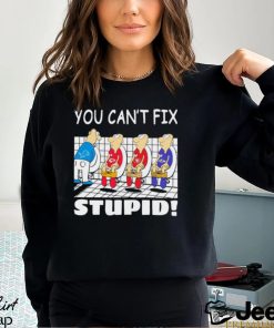 Funny Detroit Lions You Cant Fix Stupid Shirt