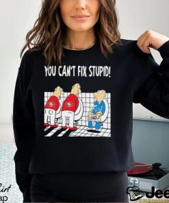 Funny San Francisco 49ers You Cant Fix Stupid Detroit Lions Shirt