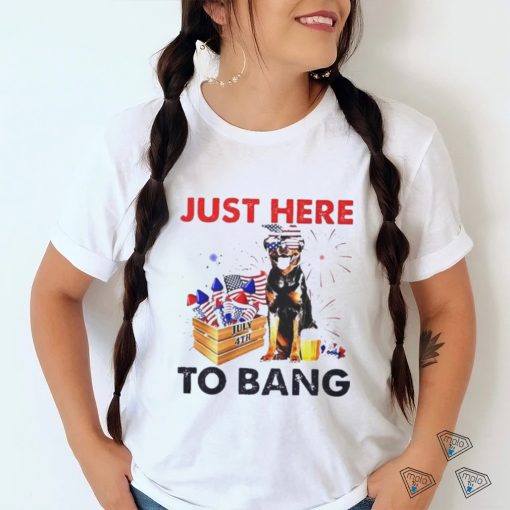 Just here to bang USA flag shirt