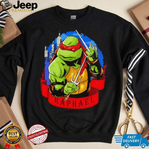 Ninja Turtle Raph Raphael skyline shirt