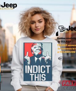 Official Alina Habba Indict This Donald Trump 2024 t shirt