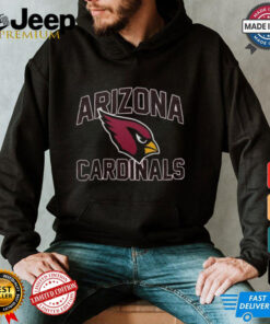 Official Arizona Cardinals Fan Spirit 2024 T Shirt