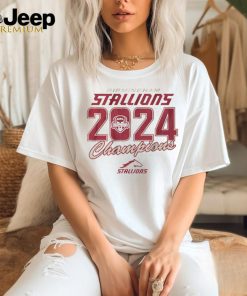 Official Birmingham Stallions 2024 UFL Champions t shirt