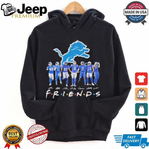 Official Detroit Lions Football Friends Of Legends Team 2024 T Shirt