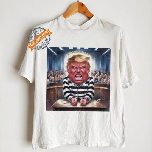 Official Donald Trump Convicted Felon Prison Pinstripes Classic T Shirt