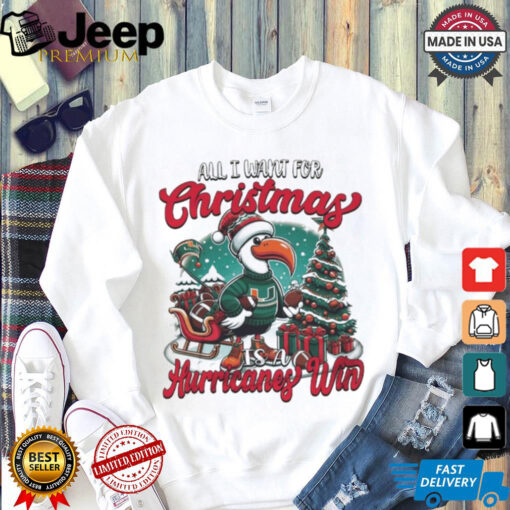 Official Miami Hurricanes Win Is All I Want For Christmas Time Shirt