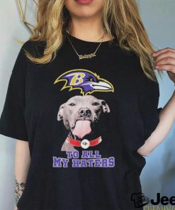 Official Pitbull Baltimore Ravens to all my haters logo shirt