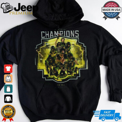 Oregon Ducks Big Ten Football Champions 2024 Flying High Hoodie T Shirt