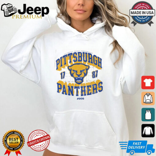 Pittsburgh Panthers Field Arched Wordmark T Shirt