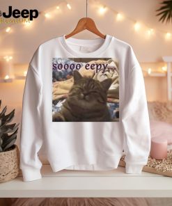 Punching Cat So Eepy Poster Shirt