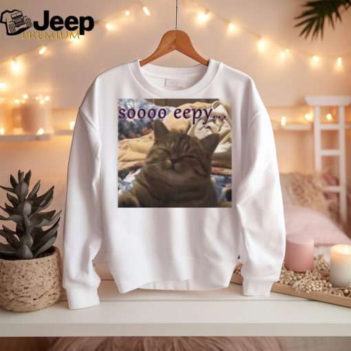 Punching Cat So Eepy Poster Shirt