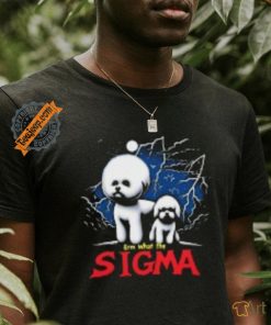 Sigma Meme T Shirts