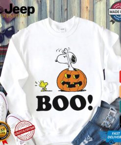 Snoopy Halloween Boo Raglan Baseball shirt