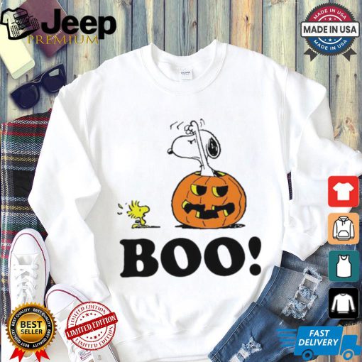 Snoopy Halloween Boo Raglan Baseball shirt