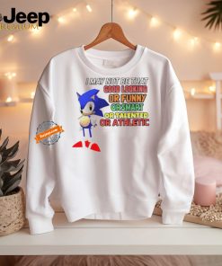 Sonic I may not be that good looking or funny or smart or talented or athletic shirt