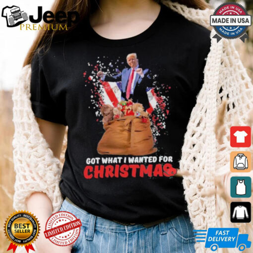 Trump Won US President Got What i Wanted For Christmas Republican Supporter T shirt