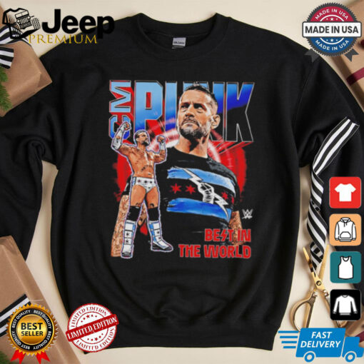 Vintage superstar CM Punk best in the World shirt