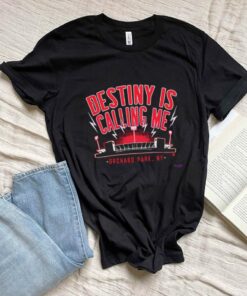 Buffalo Bills Football Destiny Is Calling Me Shirt