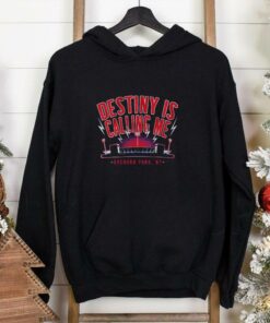 Destiny is Calling Me Shirt