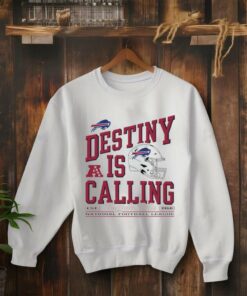 Official Destiny Is Calling Buffalo Bills Vintage Football Logo Helmet shirt
